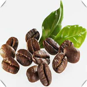 咖啡豆進(jìn)口報(bào)關(guān)