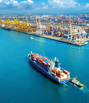 進(jìn)出口報(bào)關(guān)